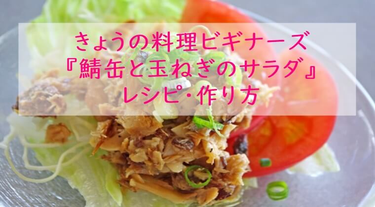 きょうの料理ビギナーズ『鯖缶と玉ねぎのサラダ』レシピ・作り方　NHK Eテレ